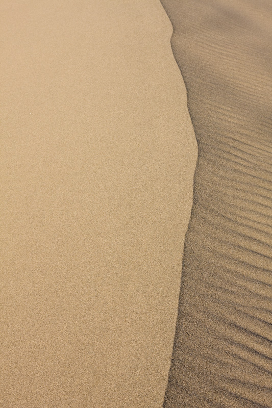 Dune Crest